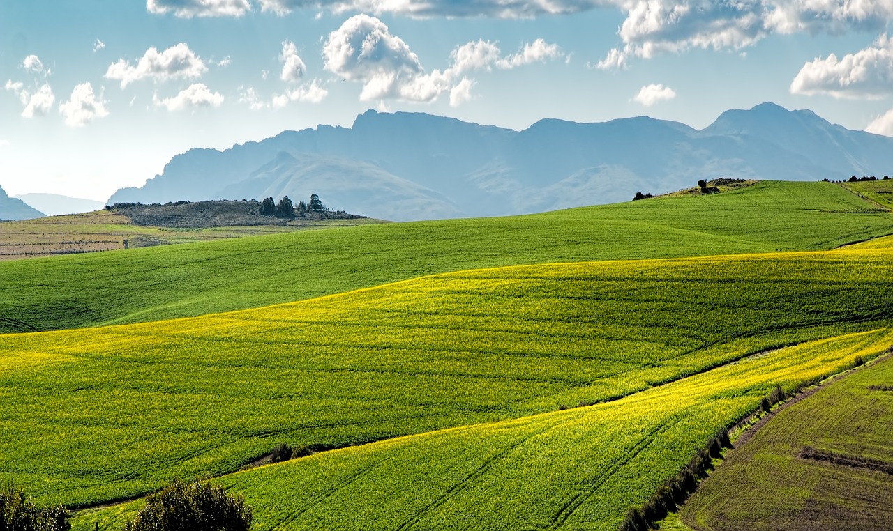 Best Eco-Farming Techniques to Maximize Crop Yield